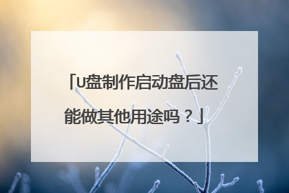 U盘制作启动盘后还能做其他用途吗?