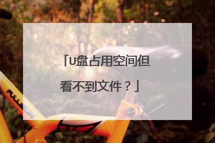 U盘占用空间但看不到文件?