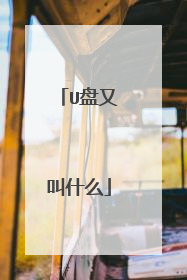 U盘又叫什么