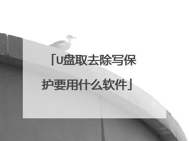 U盘取去除写保护要用什么软件
