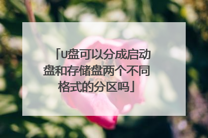 U盘可以分成启动盘和存储盘两个不同格式的分区吗