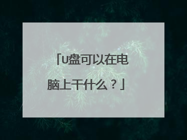 U盘可以在电脑上干什么?