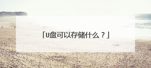 U盘可以存储什么？