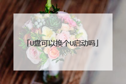 U盘可以换个U启动吗