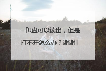 U盘可以读出,但是打不开怎么办?谢谢