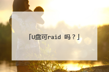 U盘可raid 吗？