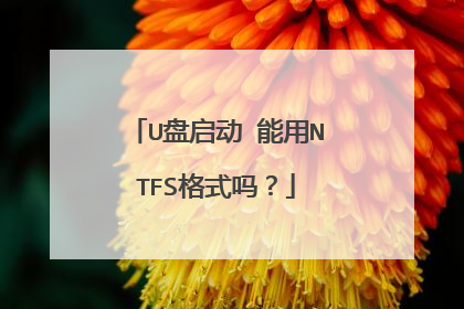 U盘启动 能用NTFS格式吗？