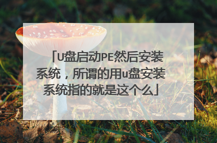 U盘启动PE然后安装系统，所谓的用u盘安装系统指的就是这个么