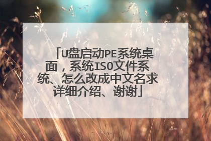 U盘启动PE系统桌面,系统ISO文件系统、怎么改成中文名求详细介绍、谢谢