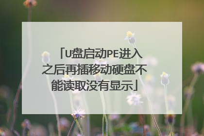 U盘启动PE进入之后再插移动硬盘不能读取没有显示
