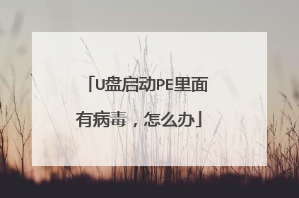 U盘启动PE里面有病毒，怎么办
