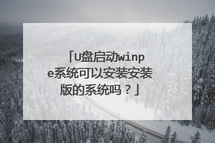 U盘启动winpe系统可以安装安装版的系统吗？
