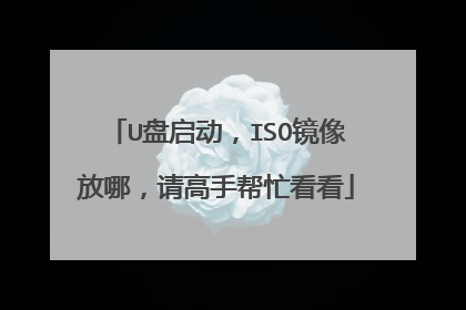 U盘启动,ISO镜像放哪,请高手帮忙看看