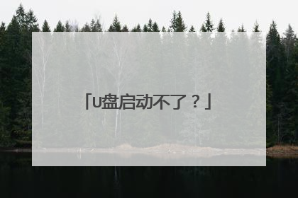 U盘启动不了?