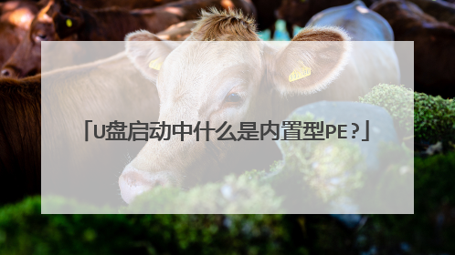 U盘启动中什么是内置型PE?