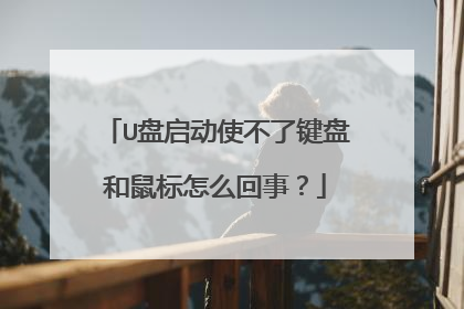 U盘启动使不了键盘和鼠标怎么回事?