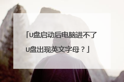 U盘启动后电脑进不了U盘出现英文字母?