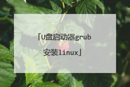U盘启动器grub 安装linux