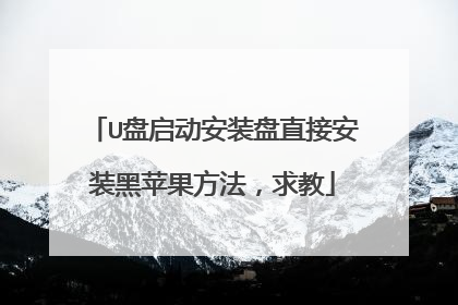 U盘启动安装盘直接安装黑苹果方法,求教