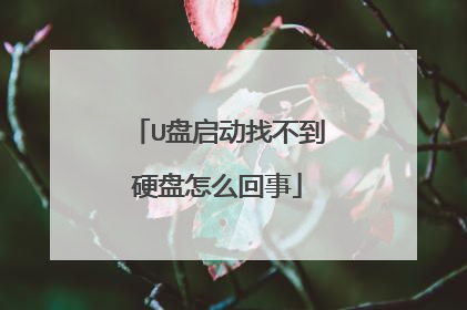 U盘启动找不到硬盘怎么回事