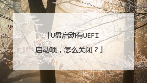 U盘启动有UEFI启动项,怎么关闭?