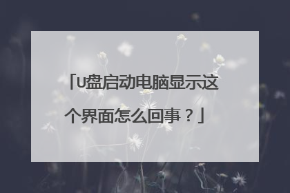 U盘启动电脑显示这个界面怎么回事?