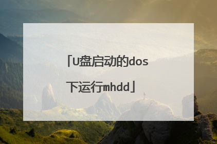 U盘启动的dos下运行mhdd