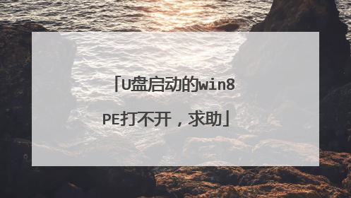 U盘启动的win8PE打不开,求助