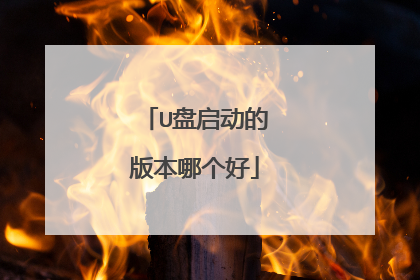 U盘启动的版本哪个好