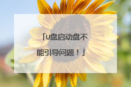 U盘启动盘不能引导问题！
