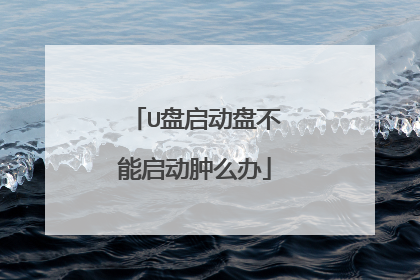 U盘启动盘不能启动肿么办