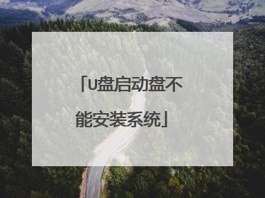 U盘启动盘不能安装系统