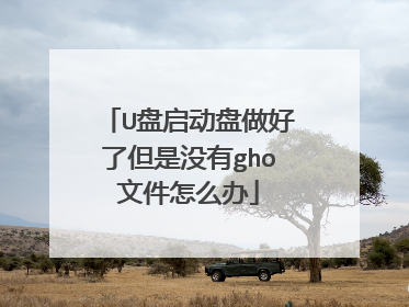 U盘启动盘做好了但是没有gho文件怎么办