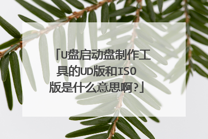 U盘启动盘制作工具的UD版和ISO版是什么意思啊?
