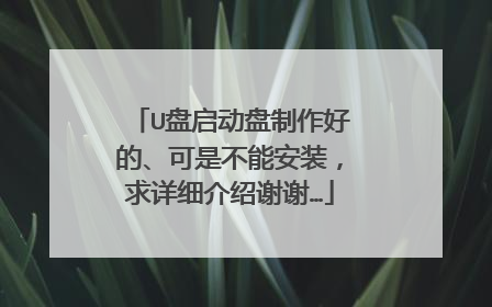 U盘启动盘制作好的、可是不能安装,求详细介绍谢谢…