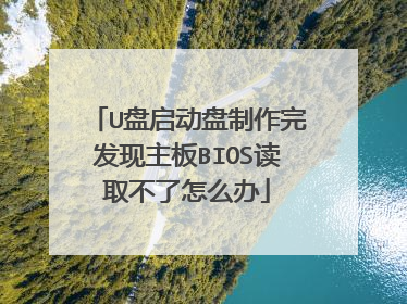 U盘启动盘制作完发现主板BIOS读取不了怎么办