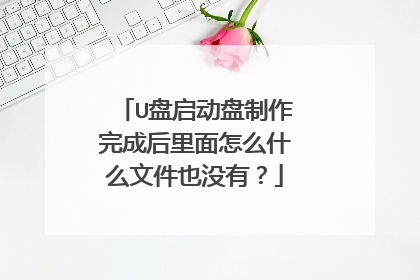 U盘启动盘制作完成后里面怎么什么文件也没有？