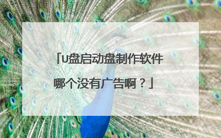 U盘启动盘制作软件哪个没有广告啊?
