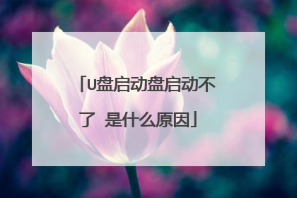 U盘启动盘启动不了 是什么原因