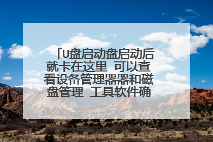 U盘启动盘启动后就卡在这里 可以查看设备管理器器和磁盘管理 工具软件确没有 什么原因？