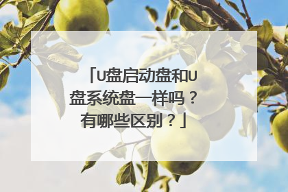 U盘启动盘和U盘系统盘一样吗?有哪些区别?