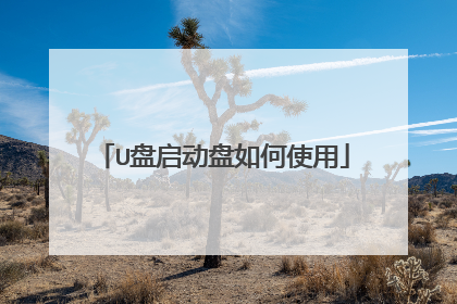 U盘启动盘如何使用