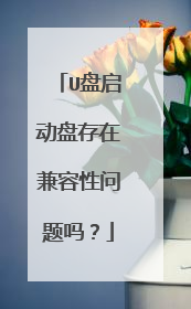 U盘启动盘存在兼容性问题吗?