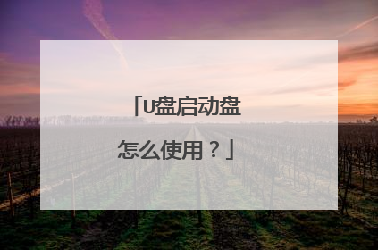 U盘启动盘怎么使用？