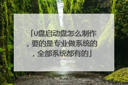 U盘启动盘怎么制作，要的是专业做系统的，全部系统都有的