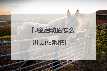 U盘启动盘怎么进去PE系统