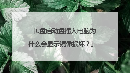U盘启动盘插入电脑为什么会显示镜像损坏？