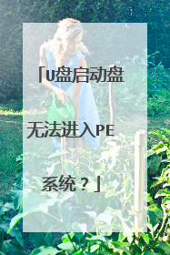 U盘启动盘无法进入PE系统?