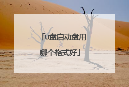 U盘启动盘用哪个格式好