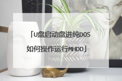 U盘启动盘进纯DOS如何操作运行MHDD